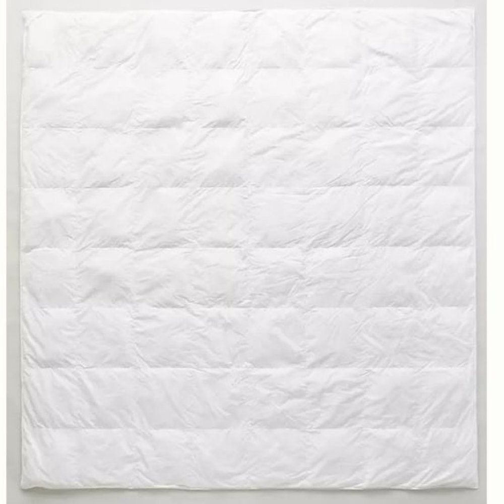Anthropologie Geneva Down Alternative Hypoallergenic Duvet Insert - Queen, white